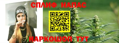 spice Кунгур