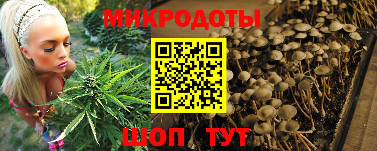 Галлюциногенные грибы MAGIC MUSHROOMS Ивантеевка